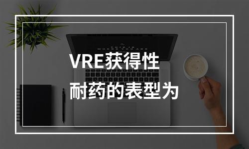 VRE获得性耐药的表型为