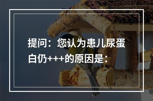 提问：您认为患儿尿蛋白仍+++的原因是：