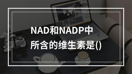 NAD和NADP中所含的维生素是()