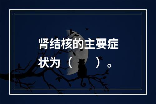 肾结核的主要症状为（　　）。