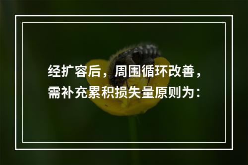 经扩容后，周围循环改善，需补充累积损失量原则为：