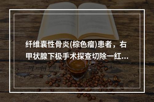 纤维囊性骨炎(棕色瘤)患者，右甲状腺下极手术探查切除一红褐色