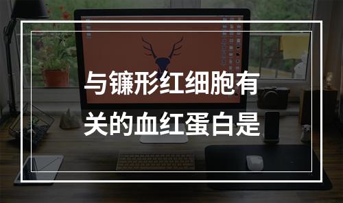 与镰形红细胞有关的血红蛋白是