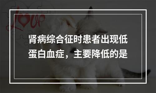 肾病综合征时患者出现低蛋白血症，主要降低的是