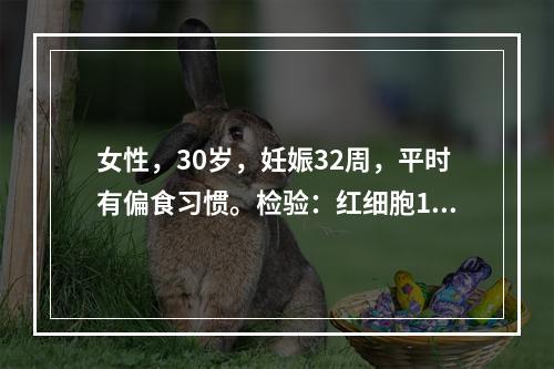 女性，30岁，妊娠32周，平时有偏食习惯。检验：红细胞1.6