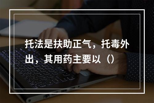 托法是扶助正气，托毒外出，其用药主要以（）