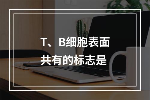 T、B细胞表面共有的标志是