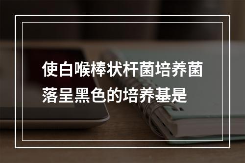 使白喉棒状杆菌培养菌落呈黑色的培养基是