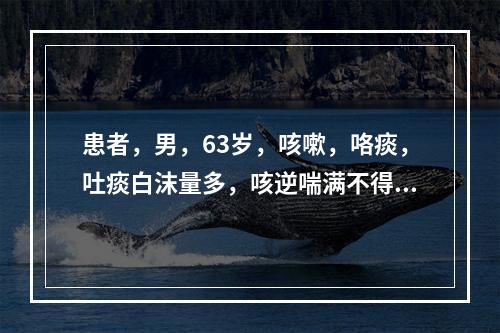 患者，男，63岁，咳嗽，咯痰，吐痰白沫量多，咳逆喘满不得卧，