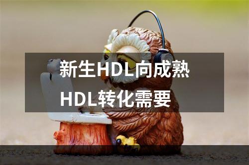 新生HDL向成熟HDL转化需要