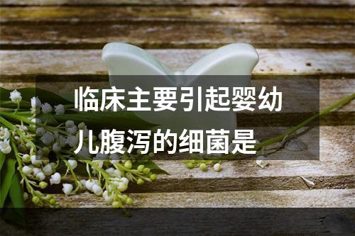 临床主要引起婴幼儿腹泻的细菌是