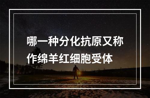 哪一种分化抗原又称作绵羊红细胞受体