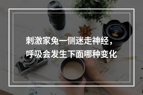 刺激家兔一侧迷走神经，呼吸会发生下面哪种变化