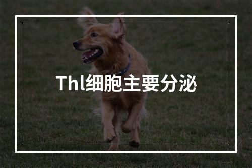 Thl细胞主要分泌