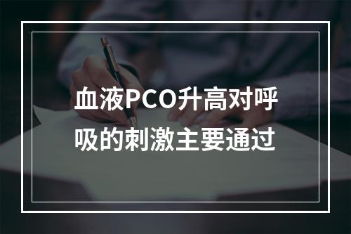 血液PCO升高对呼吸的刺激主要通过