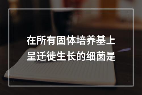 在所有固体培养基上呈迁徙生长的细菌是