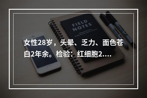 女性28岁，头晕、乏力、面色苍白2年余。检验：红细胞2.8×