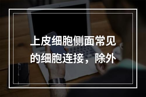 上皮细胞侧面常见的细胞连接，除外