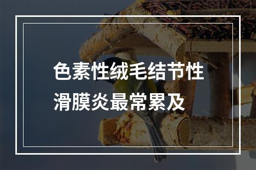 色素性绒毛结节性滑膜炎最常累及