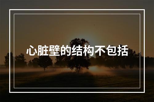 心脏壁的结构不包括