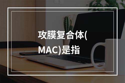 攻膜复合体(MAC)是指