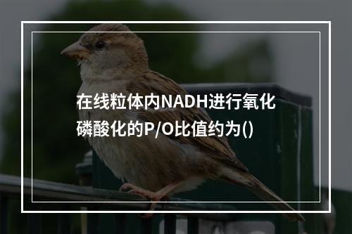 在线粒体内NADH进行氧化磷酸化的P/O比值约为()