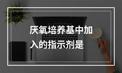 厌氧培养基中加入的指示剂是