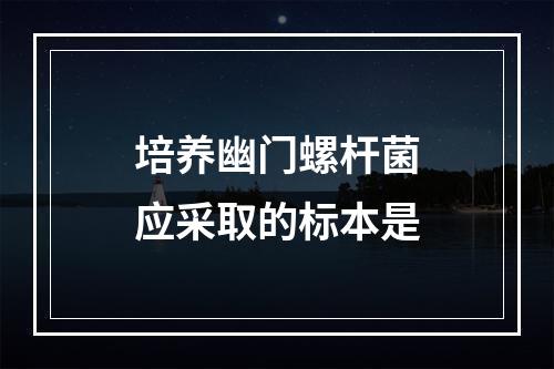 培养幽门螺杆菌应采取的标本是