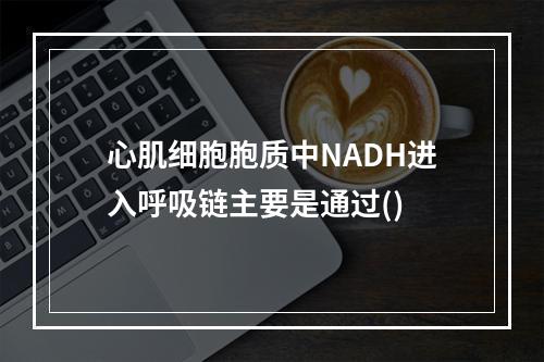 心肌细胞胞质中NADH进入呼吸链主要是通过()