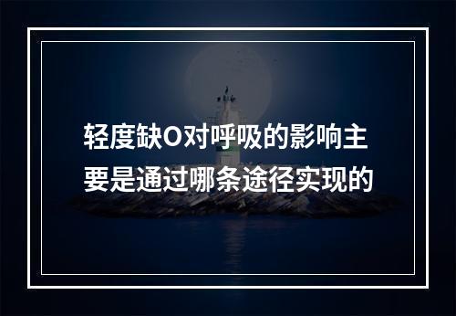 轻度缺O对呼吸的影响主要是通过哪条途径实现的