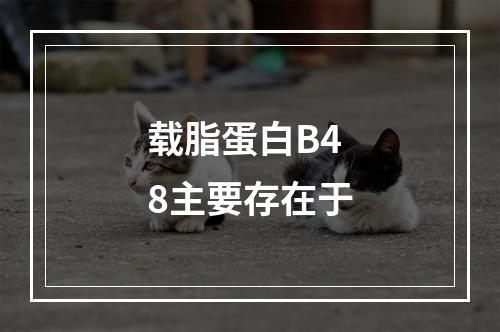 载脂蛋白B48主要存在于