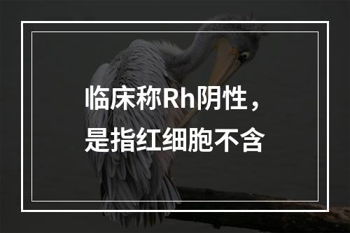 临床称Rh阴性，是指红细胞不含