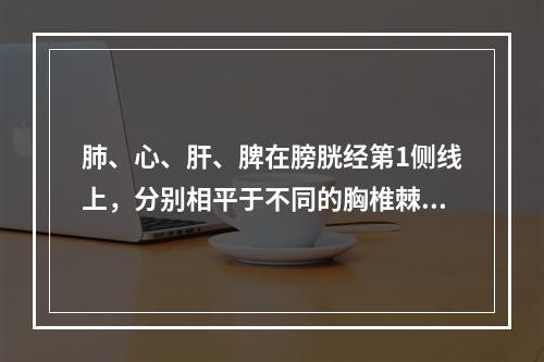 肺、心、肝、脾在膀胱经第1侧线上，分别相平于不同的胸椎棘突。