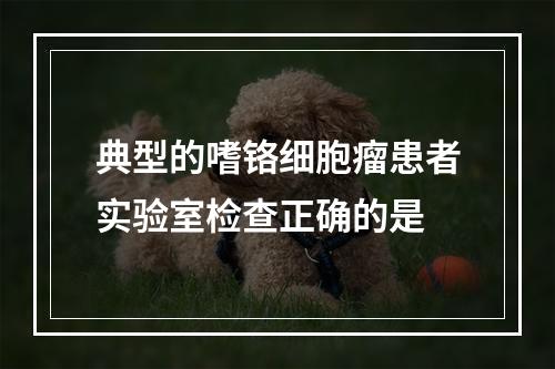 典型的嗜铬细胞瘤患者实验室检查正确的是