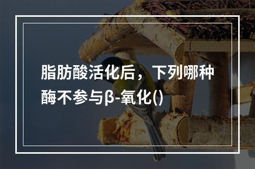 脂肪酸活化后，下列哪种酶不参与β-氧化()