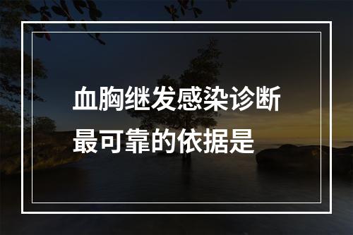 血胸继发感染诊断最可靠的依据是