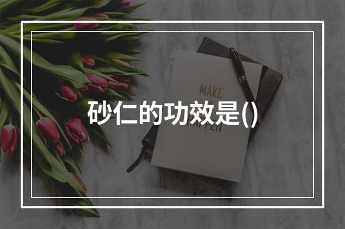 砂仁的功效是()