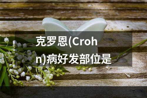 克罗恩(Crohn)病好发部位是