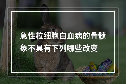 急性粒细胞白血病的骨髓象不具有下列哪些改变