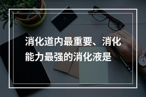 消化道内最重要、消化能力最强的消化液是