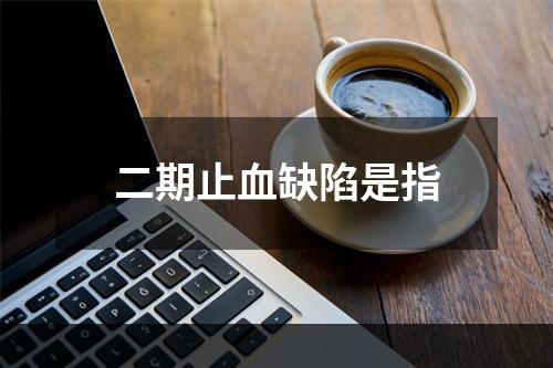 二期止血缺陷是指