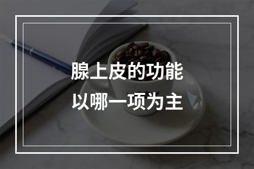 腺上皮的功能以哪一项为主