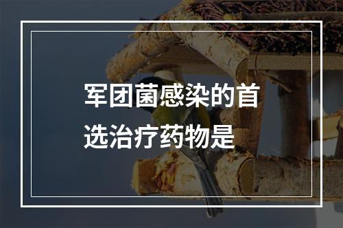 军团菌感染的首选治疗药物是