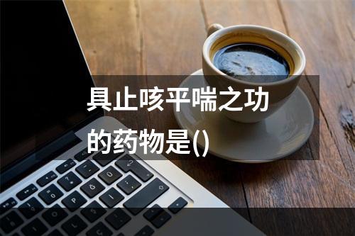 具止咳平喘之功的药物是()