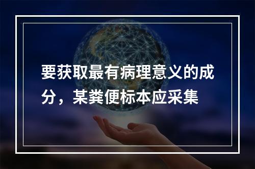 要获取最有病理意义的成分，某粪便标本应采集