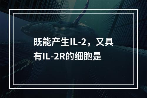 既能产生IL-2，又具有IL-2R的细胞是