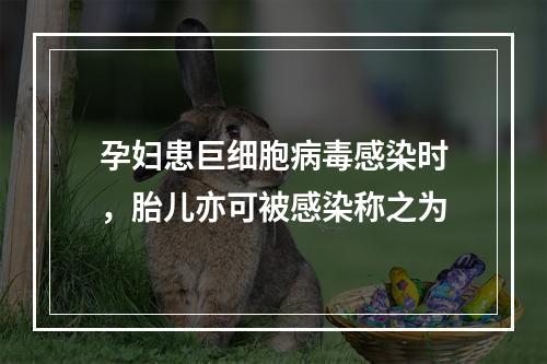 孕妇患巨细胞病毒感染时，胎儿亦可被感染称之为