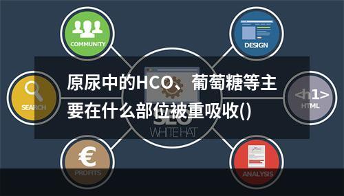 原尿中的HCO、葡萄糖等主要在什么部位被重吸收()