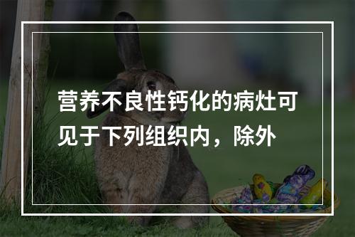 营养不良性钙化的病灶可见于下列组织内，除外