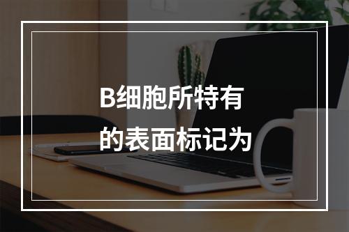 B细胞所特有的表面标记为